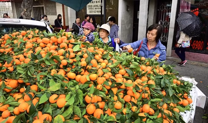 Không khí chào đón Tết Kỷ Hợi trên thế giới