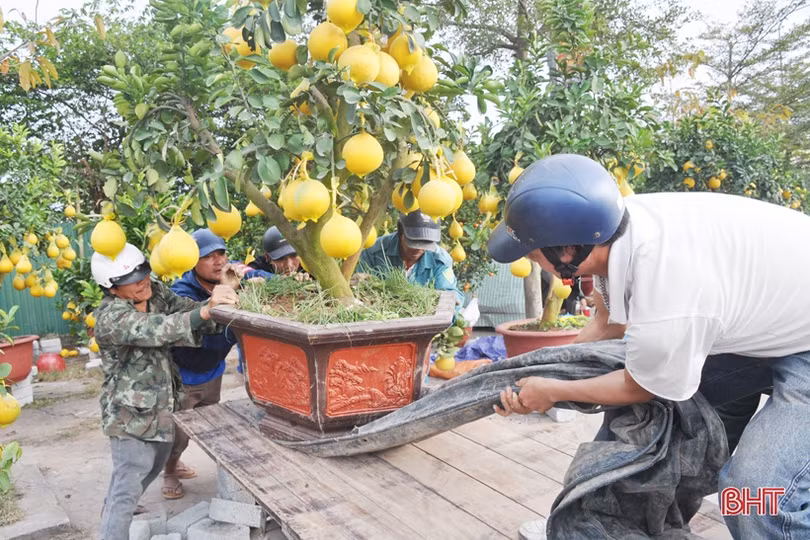 Cận cảnh những người chở Tết về nhà
