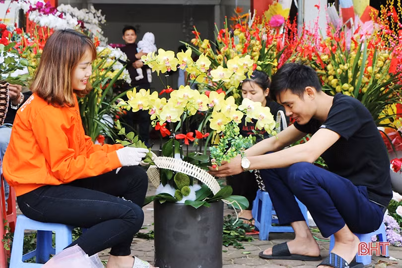 Mê mẩn những chậu lan Hồ điệp “quý tộc” ở Hà Tĩnh