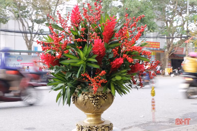 Cận tết, đào đông đỏ, mai Mỹ hàng chục triệu được “săn đón” ở Hà Tĩnh