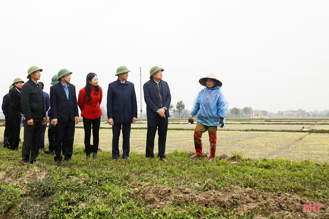 Lãnh đạo UBND tỉnh động viên sản xuất đầu năm tại các địa phương