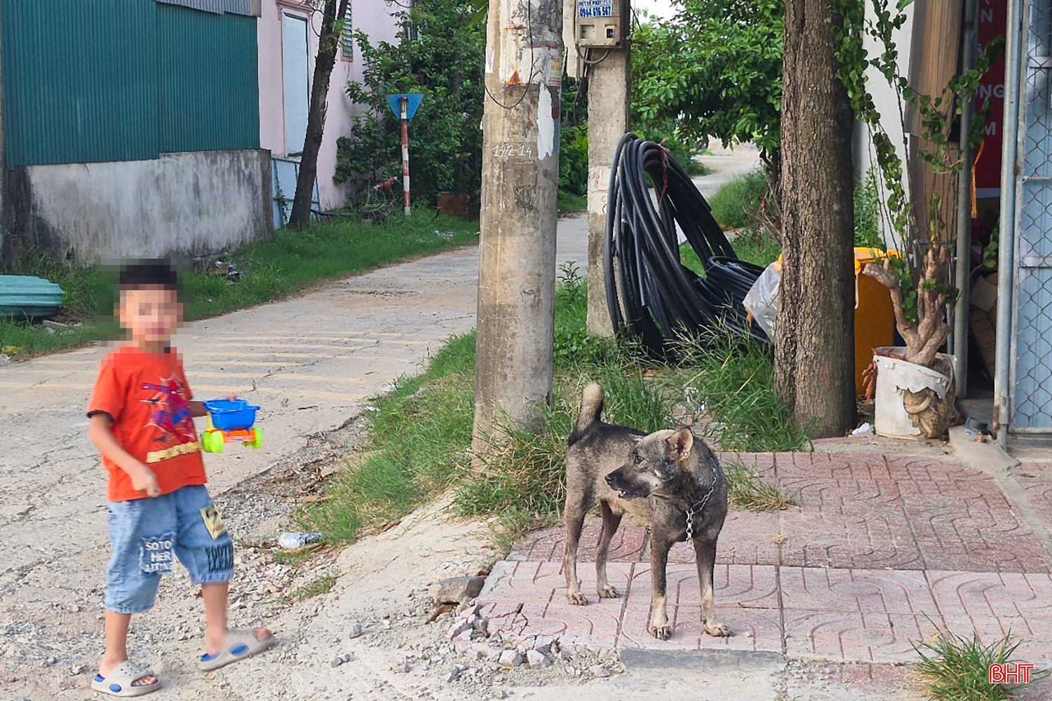 24-1435.jpg
