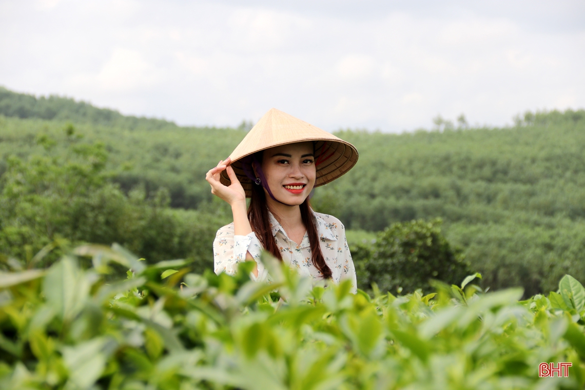 “Cẩm nang bỏ túi” giúp bạn trải nghiệm đồi chè đẹp nhất phía Nam Hà Tĩnh
