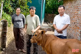 Thêm sinh kế, thêm cơ hội vươn lên cho người nghèo Đông Kinh