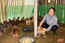 Chăm lo an sinh, tiếp sức người dân phường Nam Hồng Lĩnh
