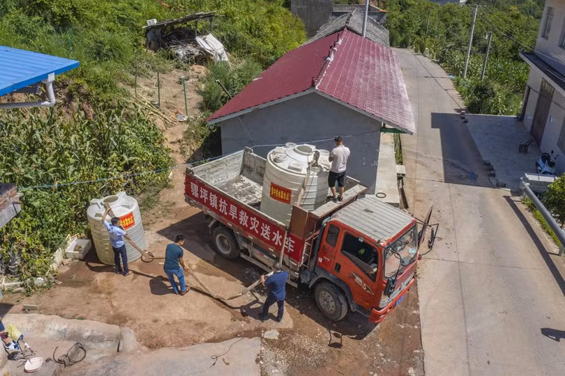 Nắng nóng ở Trung Quốc làm tôm tự chín trên đường từ chợ về nhà