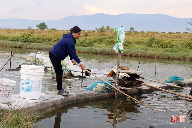 “Cú hích” lớn từ chính sách khuyến khích phát triển “tam nông” của TX Kỳ Anh