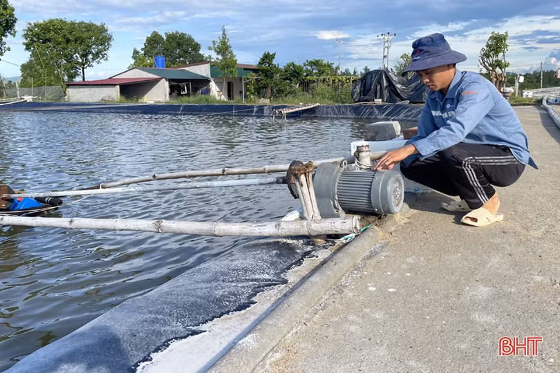 Nuôi tôm thâm canh 3 giai đoạn, nông dân Hà Tĩnh thu lãi hàng trăm triệu