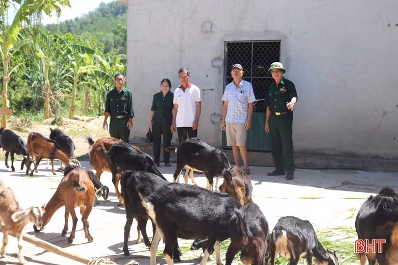 “Cú hích” giúp người dân miền núi Hà Tĩnh mạnh dạn tăng đàn dê
