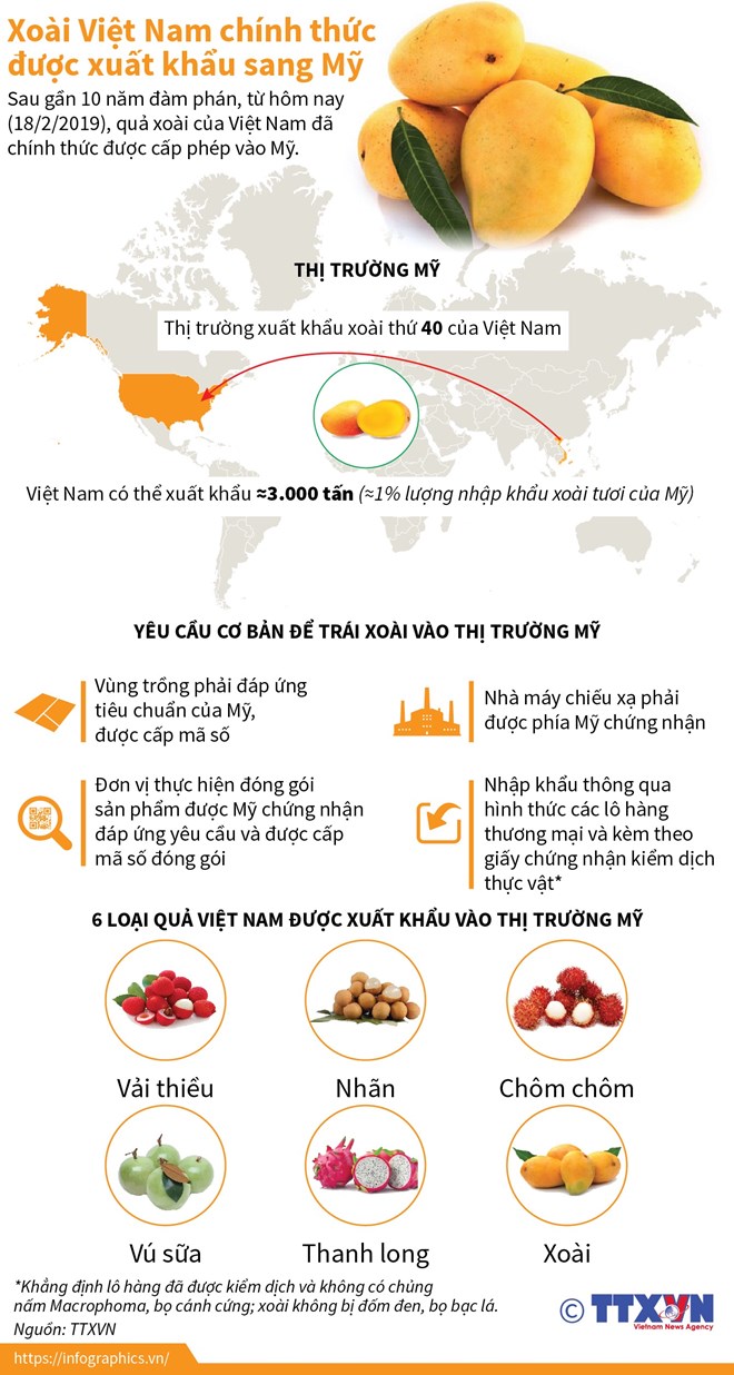 [Infographics] Xoài Việt Nam chính thức được xuất khẩu sang Mỹ