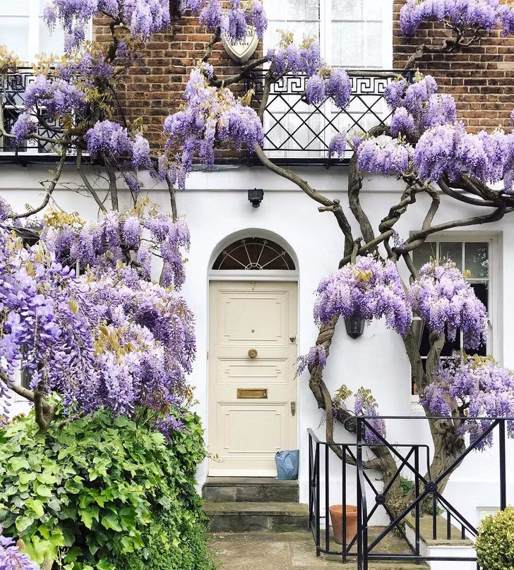 Trang trí cửa nhà bằng hoa đẹp mơ màng theo phong cách London
