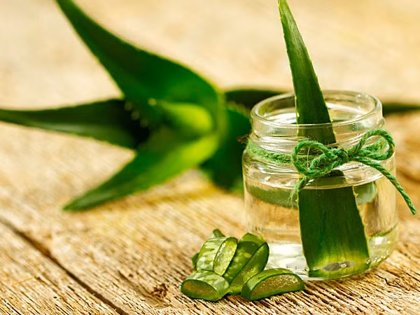 7 phương pháp tự nhiên giúp bạn làm mờ vết sẹo