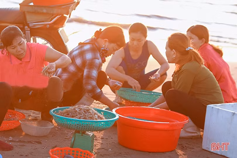 Bình yên ngày mới ở làng chài Xuân Yên
