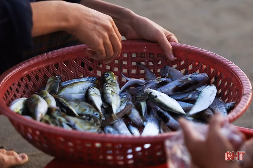 Bình yên ngày mới ở làng chài Xuân Yên