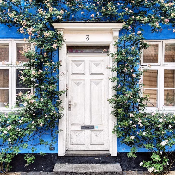 Trang trí cửa nhà bằng hoa đẹp mơ màng theo phong cách London
