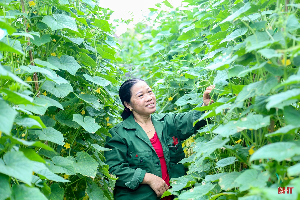 Kiên định mục tiêu, nỗ lực không ngừng, đưa Hà Tĩnh trở thành một trong những cực phát triển của Bắc Trung Bộ