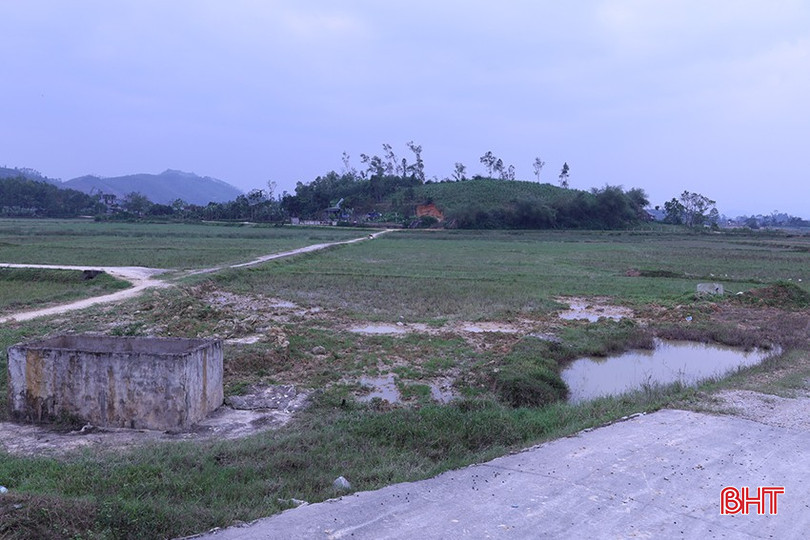bqbht_br_mai-hoa-6.jpg