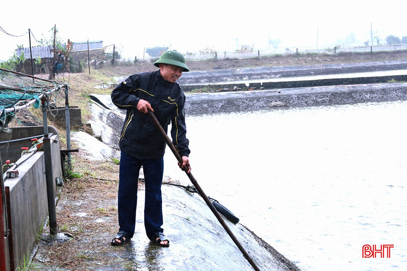 bqbht_br_hai-1.jpg