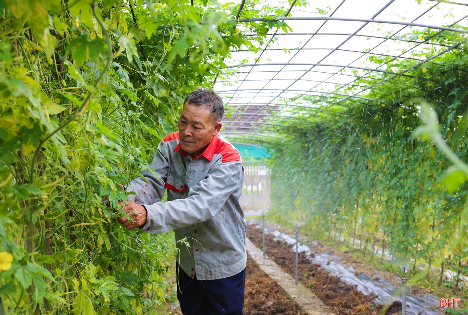 Được Đảng tin, dân tín nhiệm thì tôi còn cống hiến!