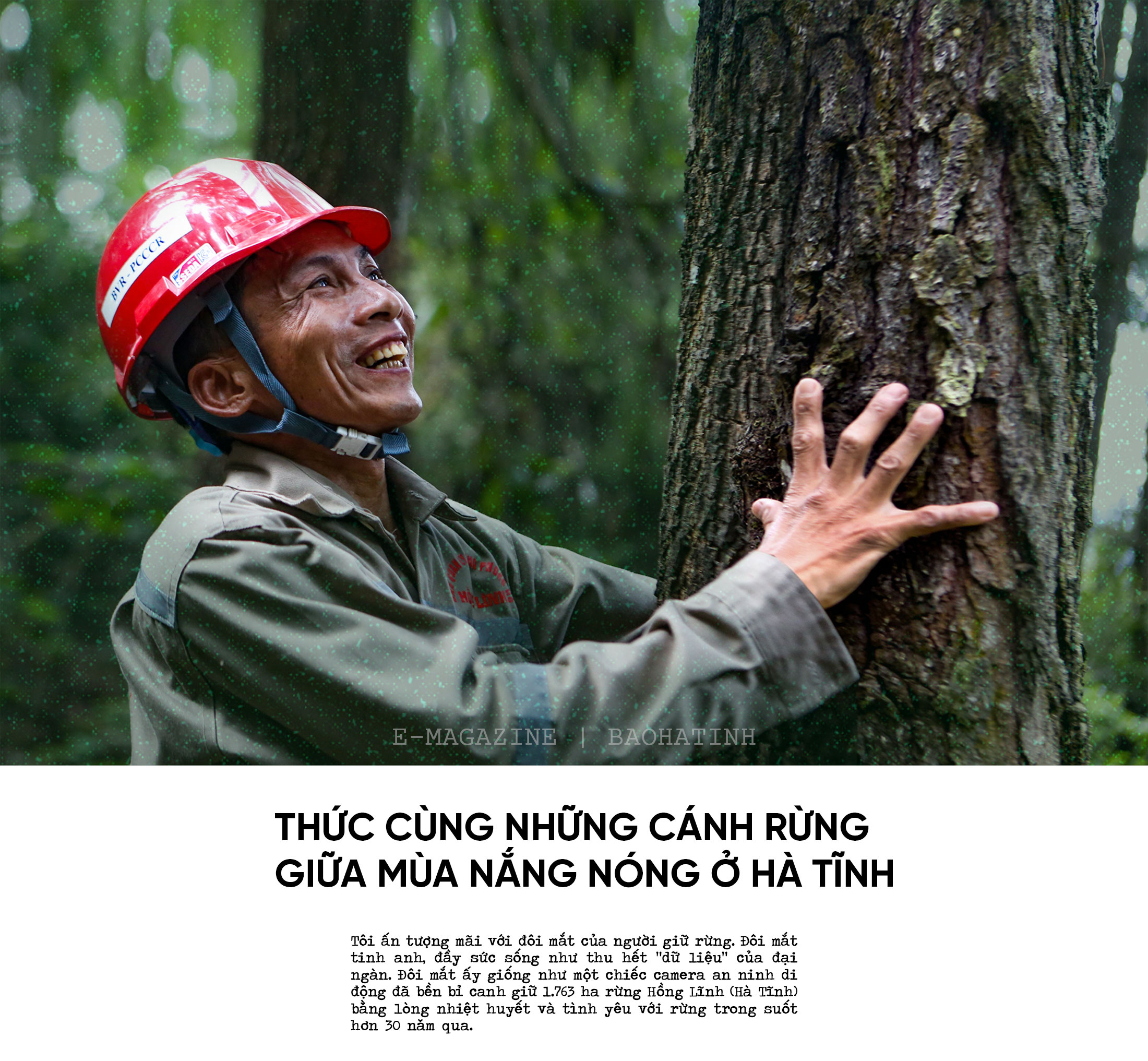 Thức cùng những cánh rừng giữa mùa nắng nóng ở Hà Tĩnh