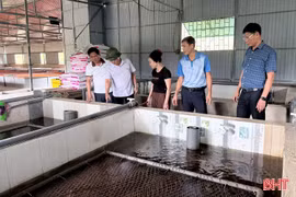 Thượng Đức phát triển mô hình kinh tế mới, mở rộng thị trường tiêu thụ