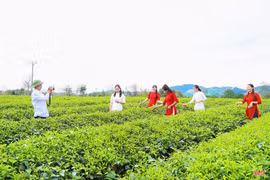Nâng cao năng lực phát triển du lịch xanh tại Hà Tĩnh