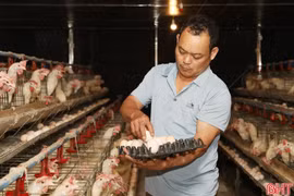 Mai Hoa chuyển mình từ những mô hình kinh tế hiệu quả