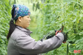 Mai Hoa mở hướng làm giàu cho người dân