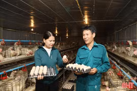 Nuôi gà siêu đẻ, mở hướng phát triển kinh tế cho nông dân xã Mai Hoa 