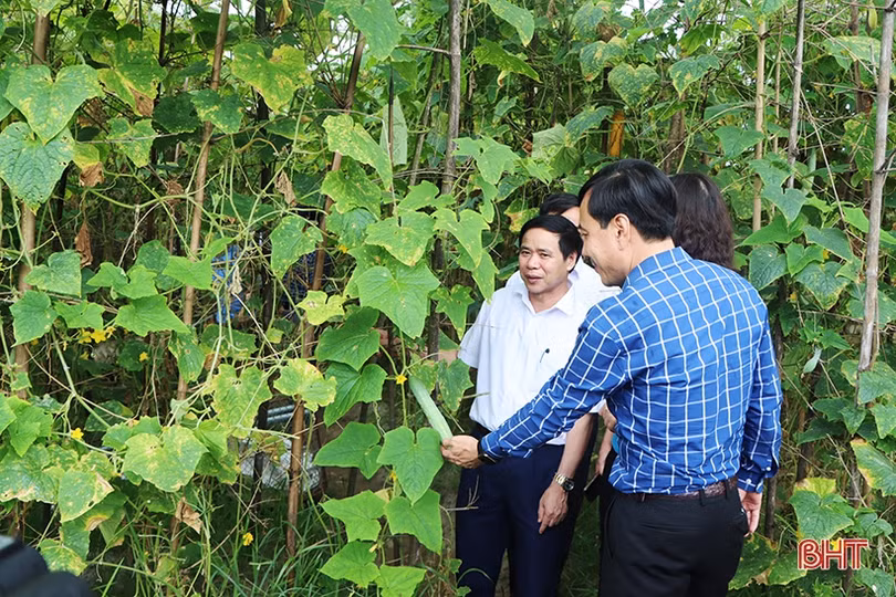 Cẩm Xuyên có nhiều cách làm sáng tạo để xây dựng nông thôn mới bền vững