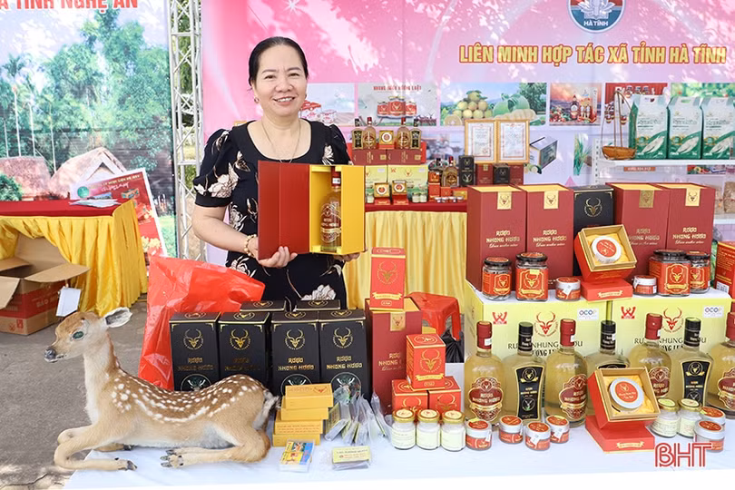 Ngắm sản phẩm OCOP tiêu biểu tại hội chợ kinh tế tập thể Bắc Trung Bộ ở Hà Tĩnh