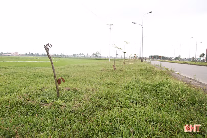 Gặp lại những hình ảnh không đẹp trên tuyến đường 173 tỷ đồng ở TP Hà Tĩnh