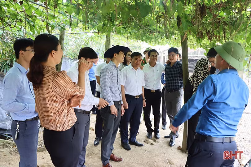 Cẩm Xuyên có nhiều cách làm sáng tạo để xây dựng nông thôn mới bền vững