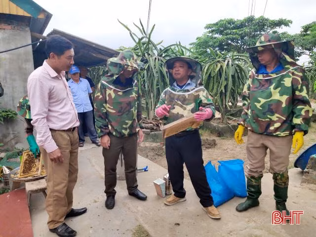 Nuôi ong ven rừng ngập mặn ở TP Hà Tĩnh