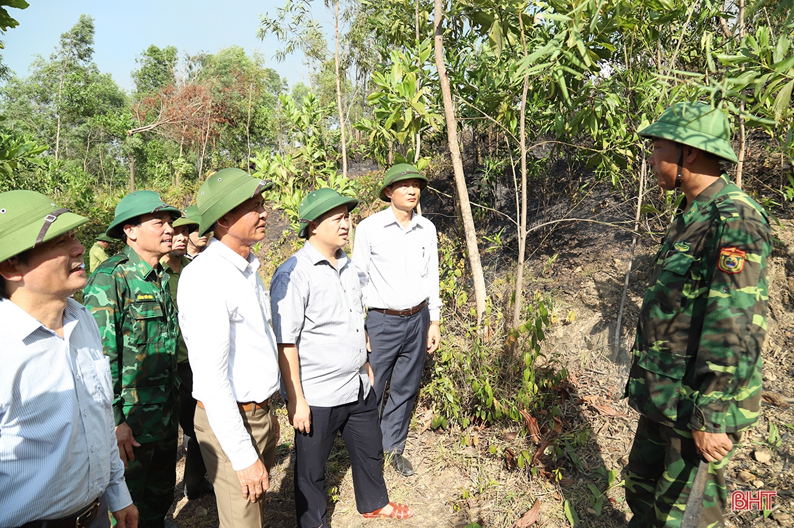 Chủ tịch UBND tỉnh Trần Tiến Hưng: Tập trung cao nhất chữa cháy rừng theo phương châm “4 tại chỗ”