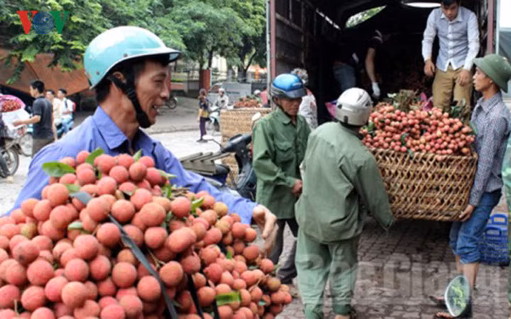 nhung loai qua viet xuat ngoai co gia dat nhu vang