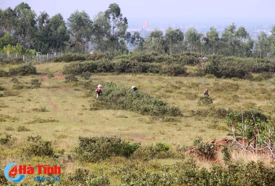 no nuc ru nhau len doi hai sim