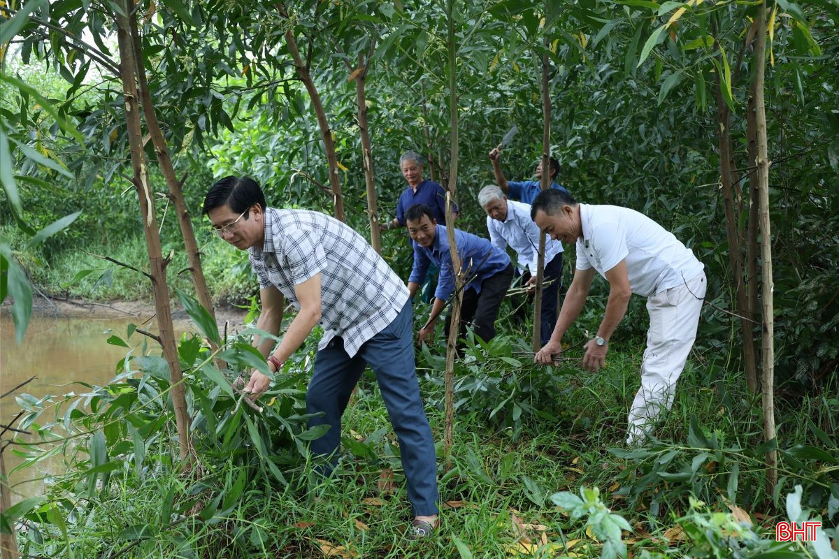 bqbht_br_trai-lang-9757.jpg