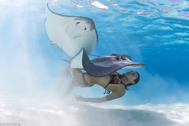 bo anh goi cam ngoan muc cua co gai dai duong