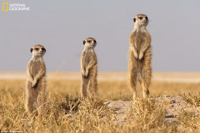thien nhien dieu ky trong anh du thi cua natgeo