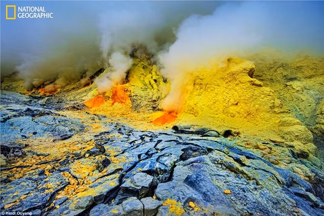 thien nhien dieu ky trong anh du thi cua natgeo