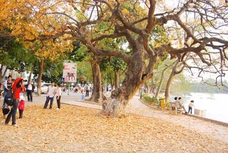 bi quyet duong sinh phong benh mua thu