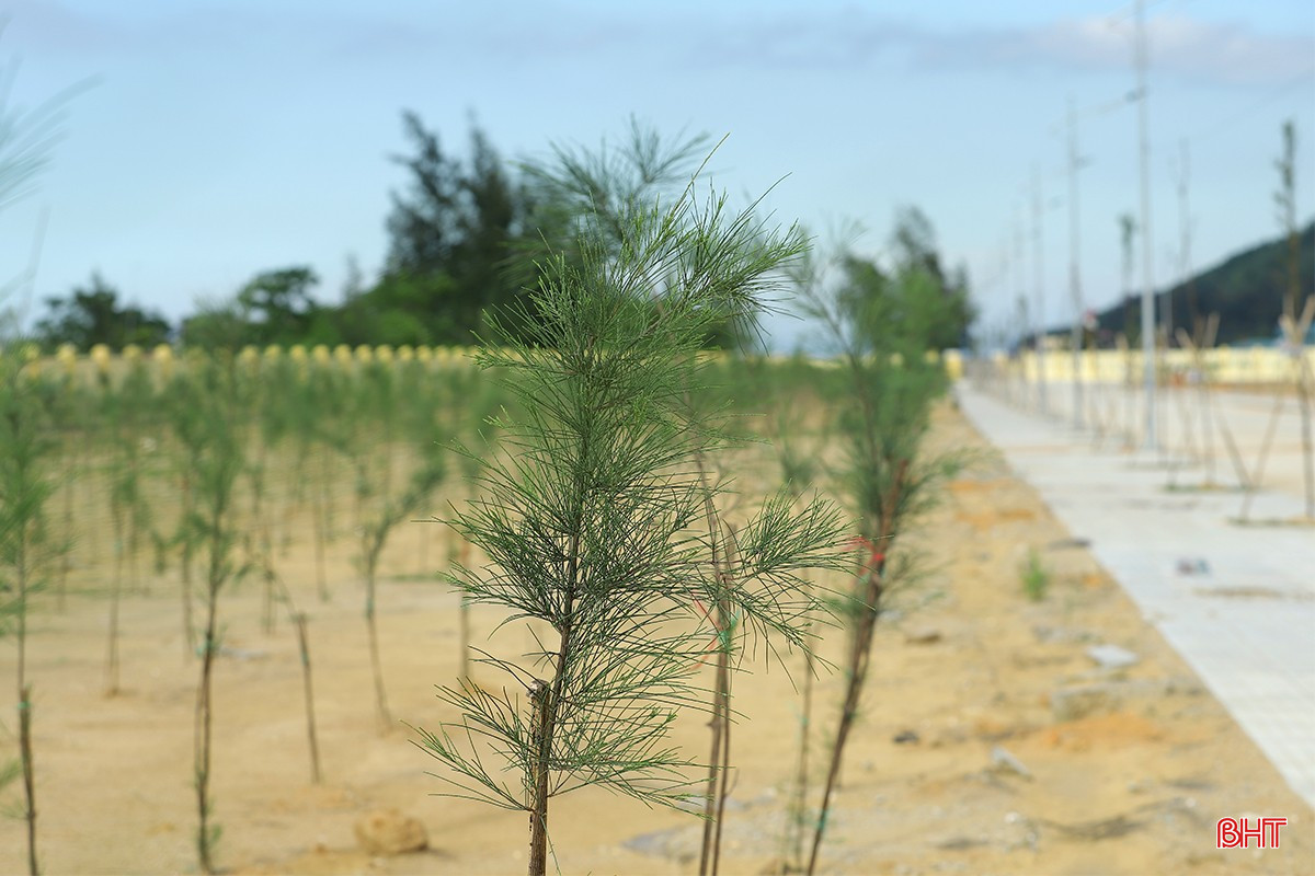 bqbht_br_cang-ca-ha-tinh-2.jpg
