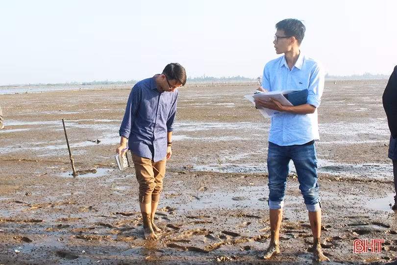 Viện Thủy sản I Việt Nam vào cuộc tìm nguyên nhân ngao Mai Phụ chết hàng loạt