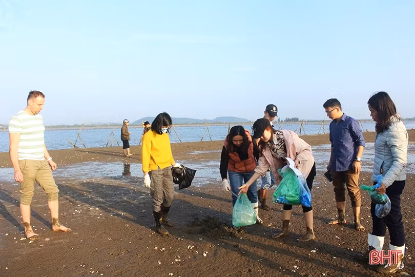 Viện Thủy sản I Việt Nam vào cuộc tìm nguyên nhân ngao Mai Phụ chết hàng loạt