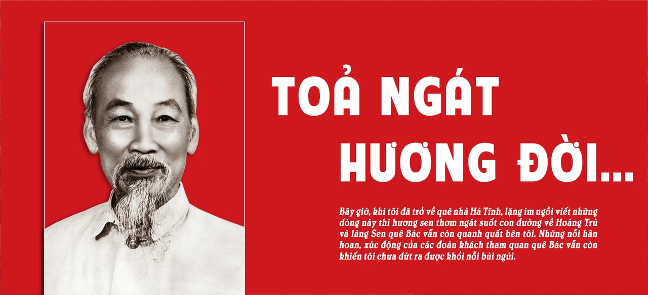 toa ngat huong 