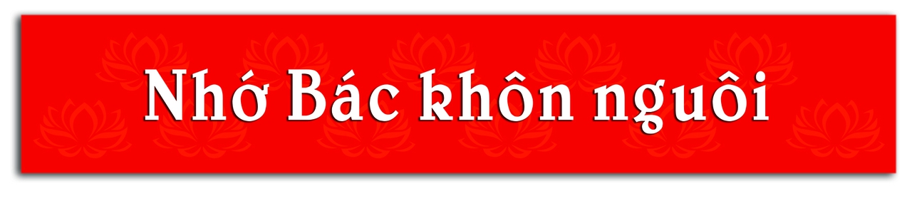 toa ngat huong 