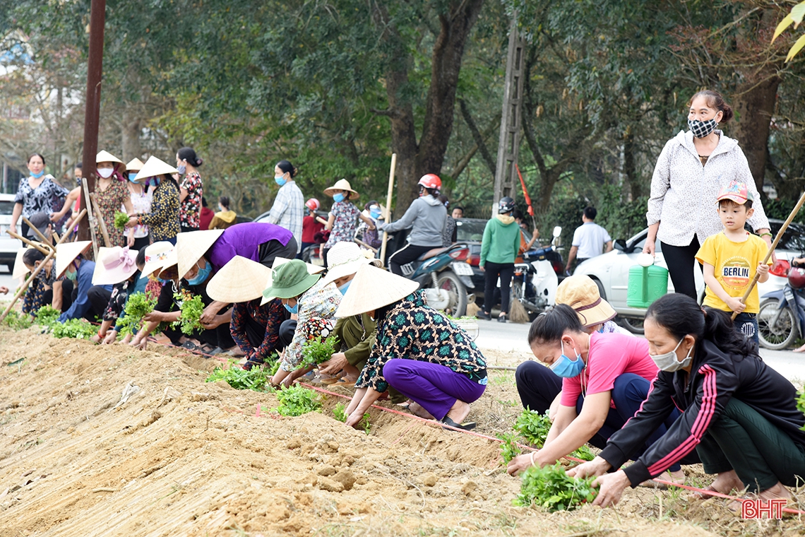 Phụ nữ Hà Tĩnh phát động “trồng 1 triệu cây xanh”
