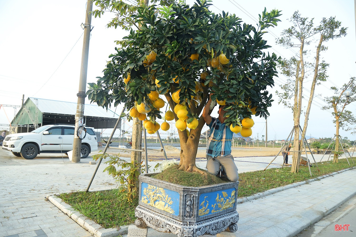 bqbht_br_tet-nguyen-dan-binh-ngo-11e.jpg