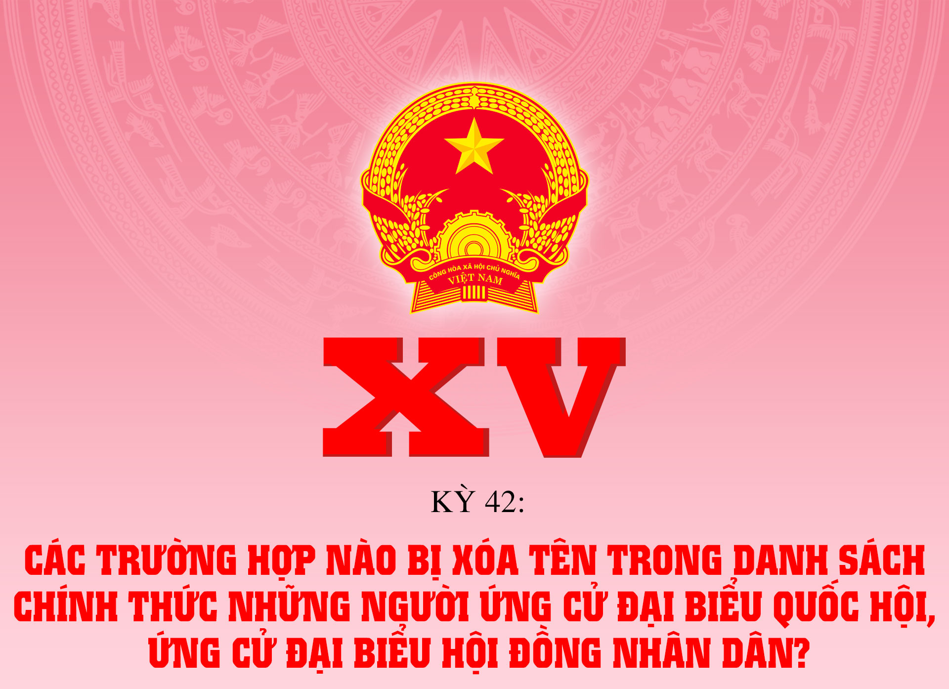 Các trường hợp nào bị xóa tên trong danh sách chính thức những người ứng cử đại biểu Quốc hội, HĐND?